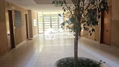 Apartment in Los Arenales del Sol photo 32
