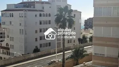 Apartment in Los Arenales del Sol photo 6