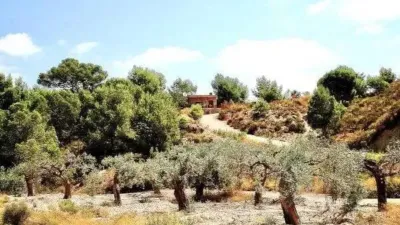 Chalet in Murcia Capital photo 14