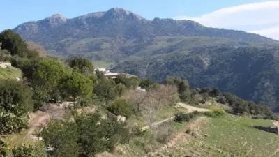 Rustic House in El Gastor photo 15