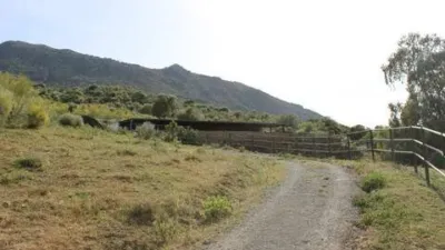 Rustic House in Grazalema photo 46