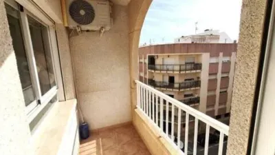 Pis - Vista 5