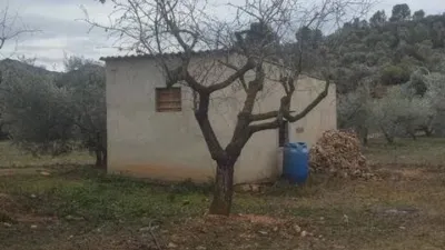 Rustic house on Poligon 20, 398 -- -400 photo 17