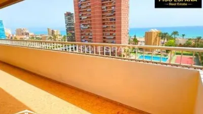 Apartment in Playa de San Juan photo 5