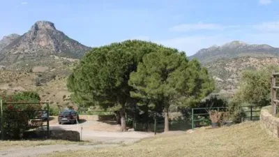 Rustic House in Grazalema photo 45