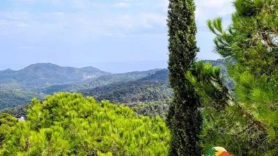 Chalet on Carrer de les Orenetes photo 43