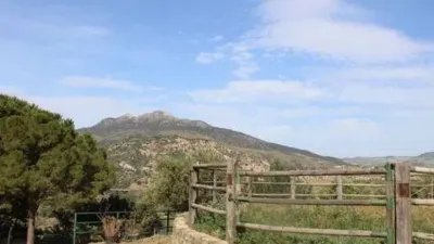 Rustic House in Grazalema photo 43