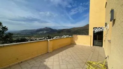 Chalet in Els Grecs-Mas Oliva photo 38