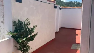 Rustic house in Oliva photo 2