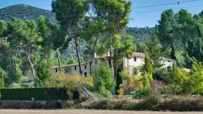 Rustic house in Batoy photo 5