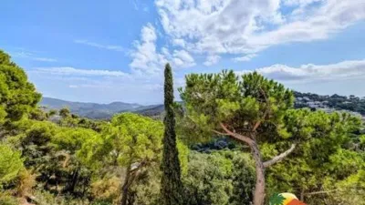 Chalet on Carrer de les Orenetes photo 37