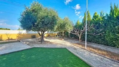 Chalet on Alcalde Felipe Mallol photo 29
