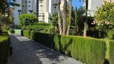 Apartment in Benidorm photo 20
