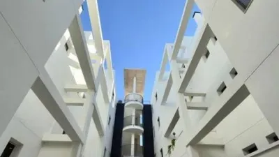 Apartment on Carrer Benimantell photo 22