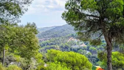 Chalet on Carrer de les Orenetes photo 42