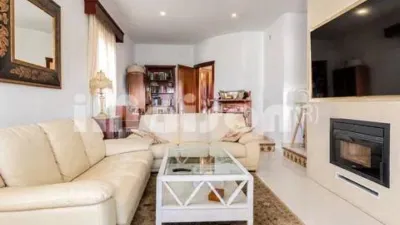 Chalet in Coria del Río photo 8
