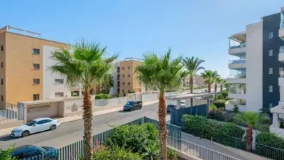Piso – Orihuela - Vista 5