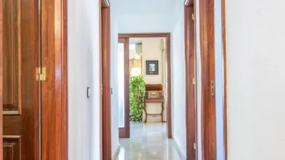 Apartment in Bons Aires photo 18