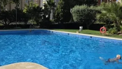 Apartment in Benidorm photo 22