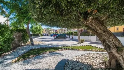 Chalet in Algorfa photo 38