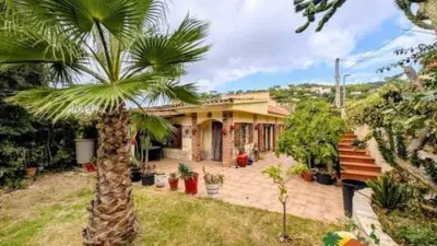 Chalet on Avinguda dels Arbres photo 3