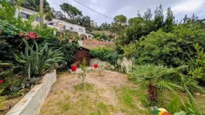 Chalet on Avinguda dels Arbres photo 34