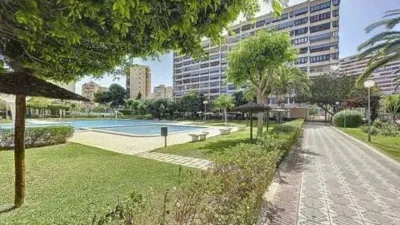 Apartment on Avenida de Holanda photo 15