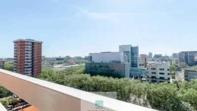 Apartment in El Clot photo 15