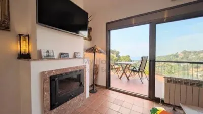 Chalet on Avinguda dels Arbres photo 10