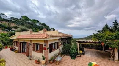 Chalet on Avinguda dels Arbres photo 33