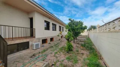 Chalet in Platja Muchavista photo 28