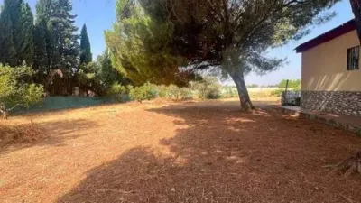 Chalet in Carmona photo 24