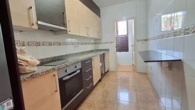 Pis – Elx - Elche - Vista 4