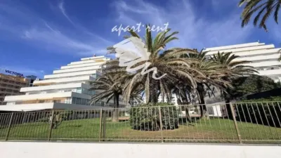 Apartment in Santa Margarida photo 29