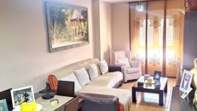Apartment in Santa María del Águila photo 6