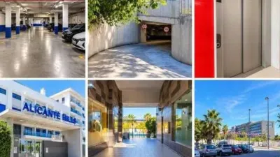 Apartment in El Palmeral photo 20
