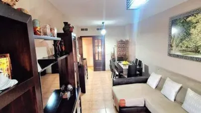 Apartment in Santa María del Águila photo 8