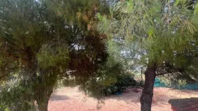 Chalet in Carmona photo 26