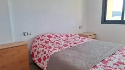 Apartment in Vícar photo 3
