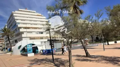 Apartment in Santa Margarida photo 30