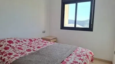 Apartment in Vícar photo 4