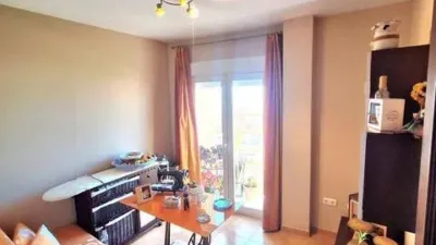 Apartment in Santa María del Águila photo 11