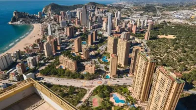 Apartment in Benidorm photo 5