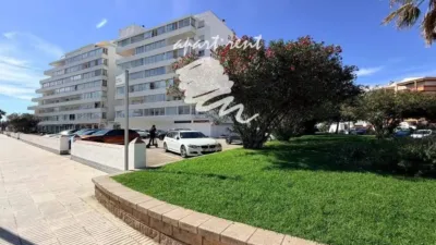 Apartment in Santa Margarida photo 48