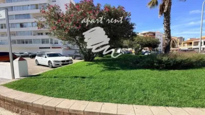 Apartment in Santa Margarida photo 49