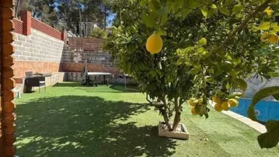 Chalet in Canaletes photo 44