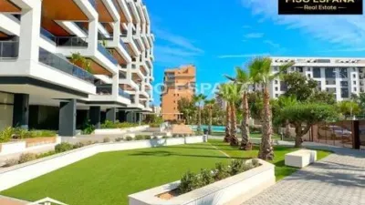 Apartment in Playa de San Juan photo 60