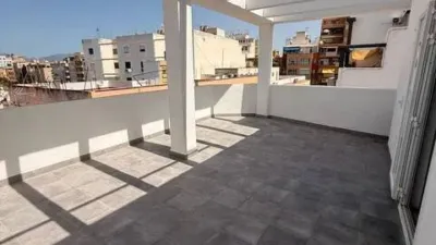 Apartment in Palma de Mallorca photo 11