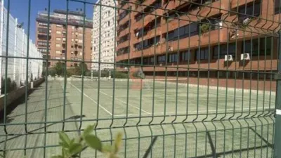 Piso en Paseo Zorrilla-Campo Grande-Cuatro de Marzo photo 66