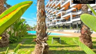 Apartment in Playa de San Juan photo 62